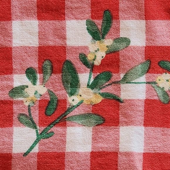 XOCHI Mistltoe Gingham Placemats Set of Two Colors Red White Green Yellow - Picture 6 of 7